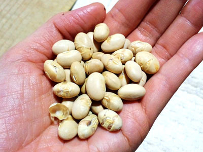 節分豆40.jpg